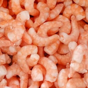 Presentación-PUD-precocido