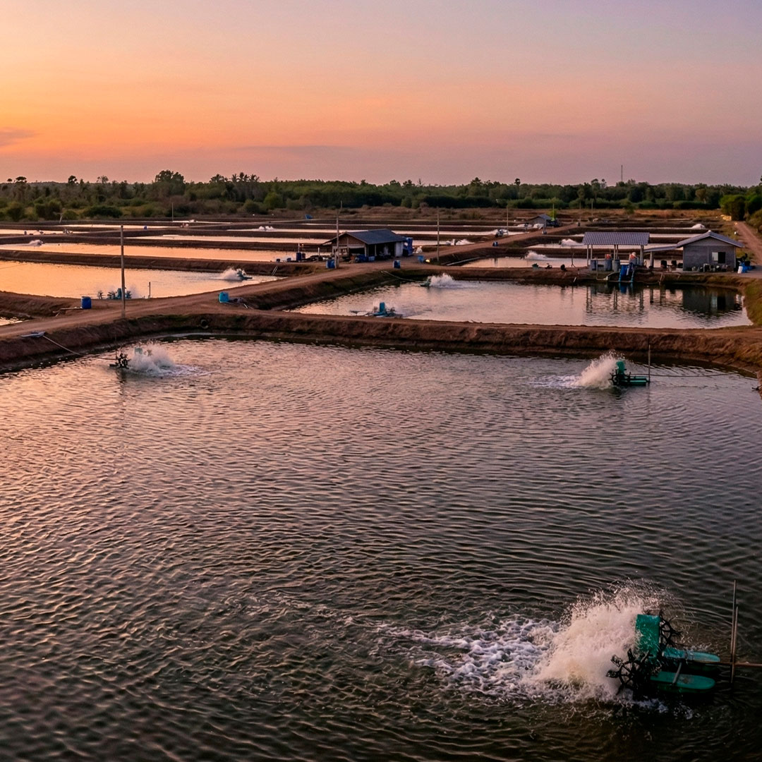 SEATRADE-SEAFOOD-FINCA